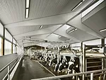 Teaching Dairy Barn