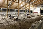 Teaching Dairy Barn