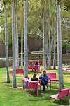 The architects designed bright magenta lawn furniture'benches, caf' tables and chairs, and lounge chairs'that visitors can easily move around, just as in their own backyards.