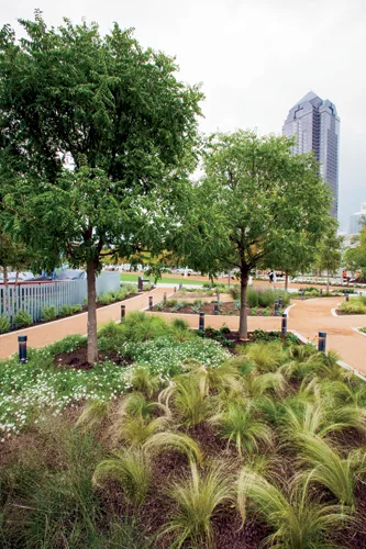 Botanical garden with regional plants.