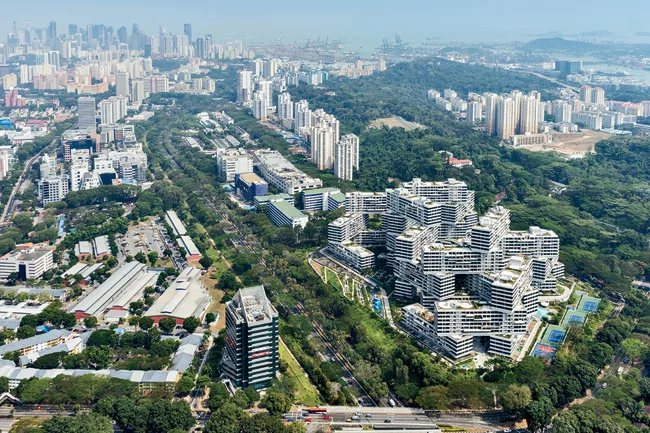 The Interlace