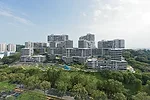 The Interlace