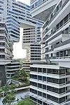The Interlace