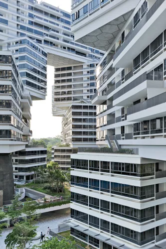 The Interlace
