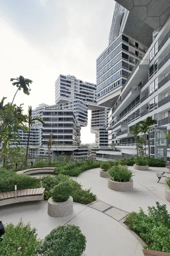 The Interlace