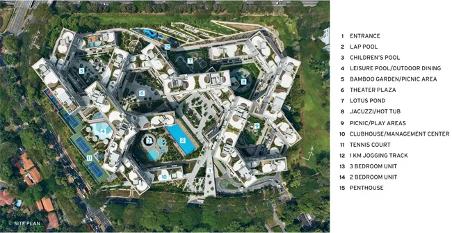 The Interlace