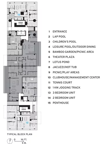 The Interlace