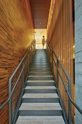 474 Natoma
