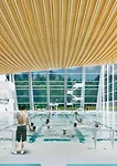 Wood Innovation Design Center