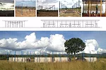 Chipakata Children's Academy