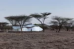 Konokono Vaccination Center
