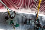 Konokono Vaccination Center