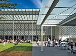 The Terrace, California Academy of Sciences