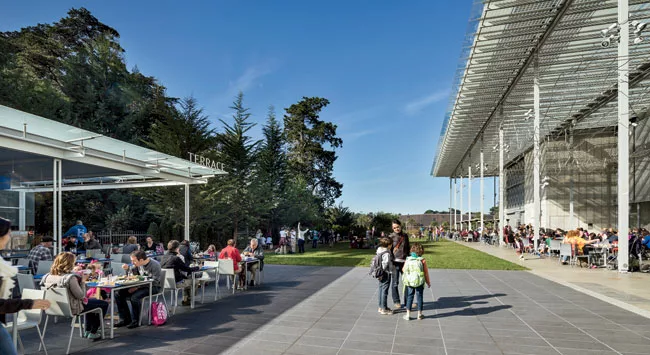 The Terrace, California Academy of Sciences