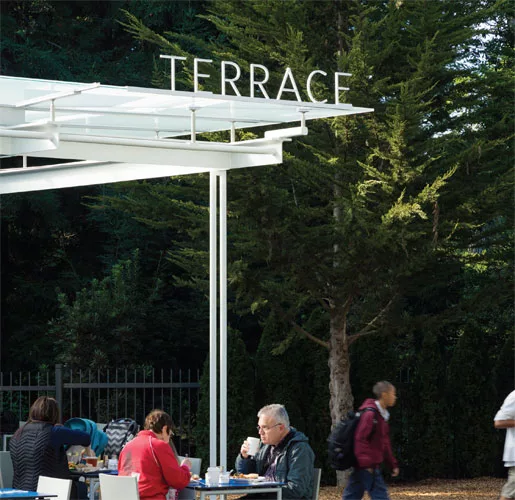 The Terrace, California Academy of Sciences