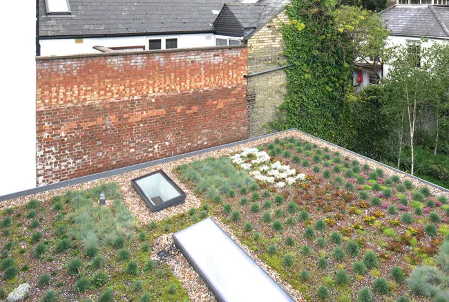 View from main living space to rear garden