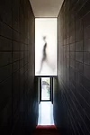 Mews 02