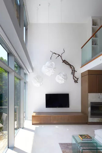Urban Ravine House