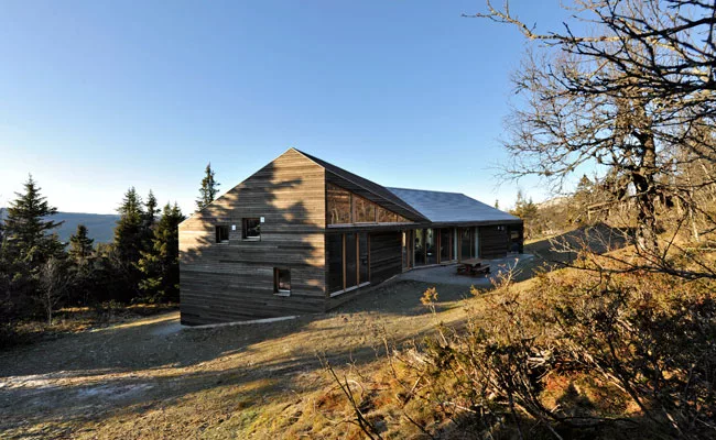 Twisted Cabin