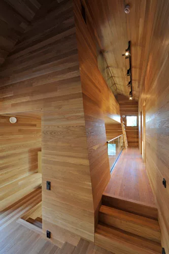 Twisted Cabin