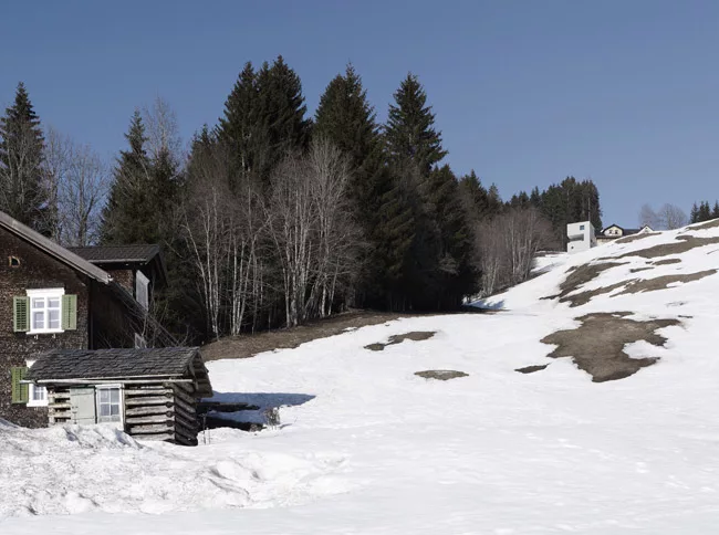 Mountain Cabin
