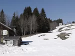 Mountain Cabin