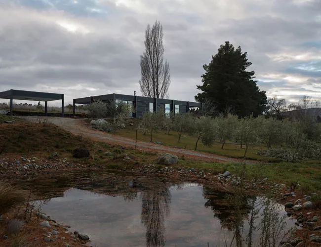 Olive Grove House