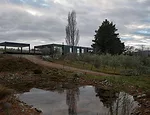 Olive Grove House