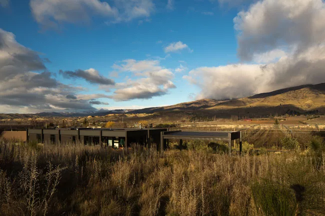 Olive Grove House