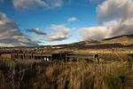 Olive Grove House