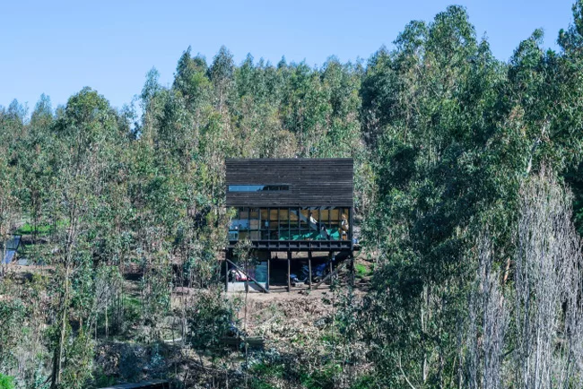 Searle House