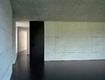 Riedikon House