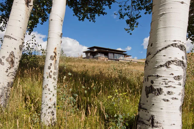 Telluride House