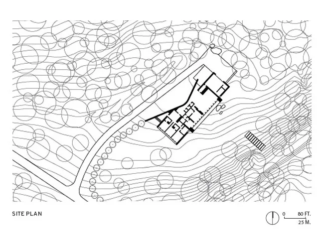 A House In The Woods
