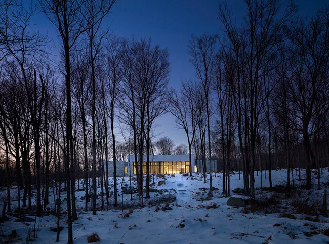 A House In The Woods