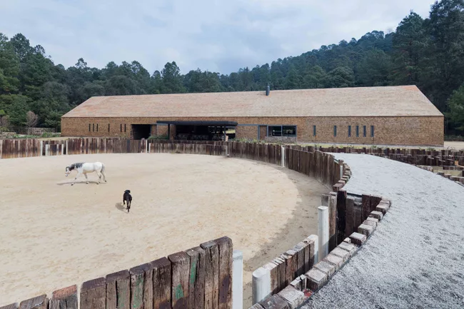 Equestrian Project