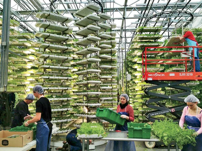 Vertical-farming company Alterrus has built a greenhouse on the roof of a parking garage in Vancouver, British Columbia, that includes its proprietary system of stacked and rotating growing trays. The