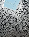 Sculptural Skins