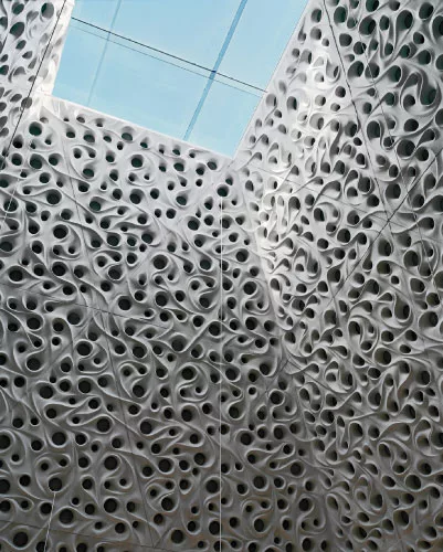 Sculptural Skins