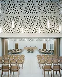Sculptural Skins
