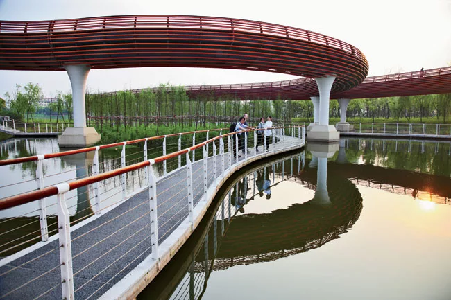 Turenscape Restores an Urban Wetland