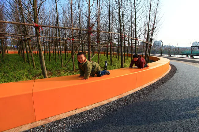 Turenscape Restores an Urban Wetland