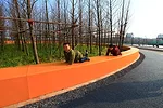 Turenscape Restores an Urban Wetland