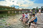 Turenscape Restores an Urban Wetland