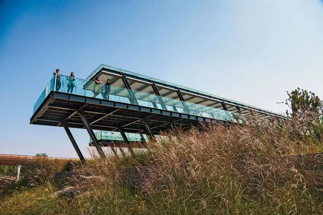 Turenscape Restores an Urban Wetland