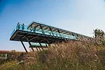 Turenscape Restores an Urban Wetland