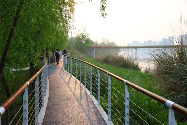 Turenscape Restores an Urban Wetland