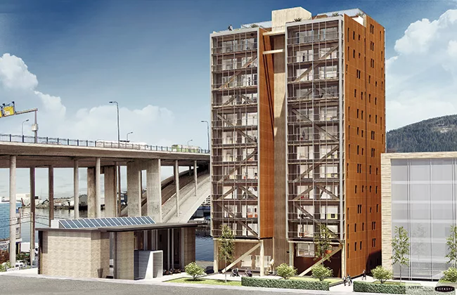 Mass Timber Construction