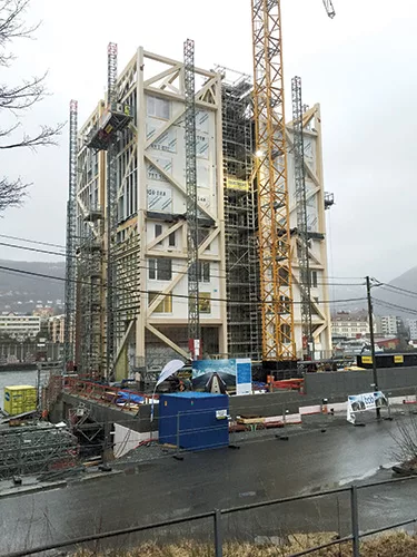 Mass Timber Construction