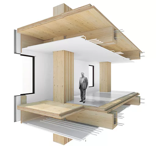 Mass Timber Construction